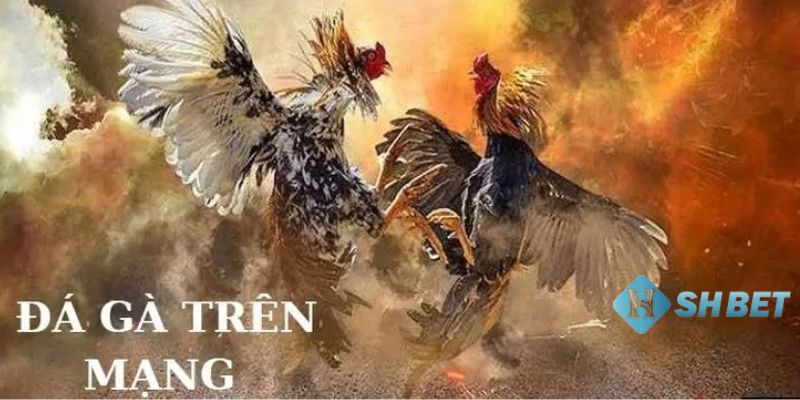 đá gà online ăn tiền thật