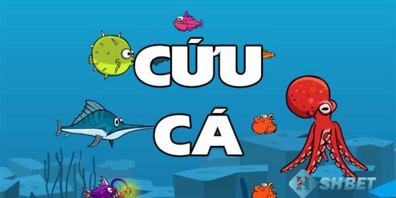 game vui bắn cá Khám phá trò chơi bắn cá - Giải trí đầy thú vị