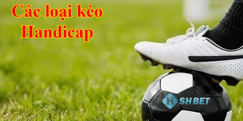 kèo handicap Hướng dẫn chi tiết về cách tính và đọc kèo Handicap chuẩn xác