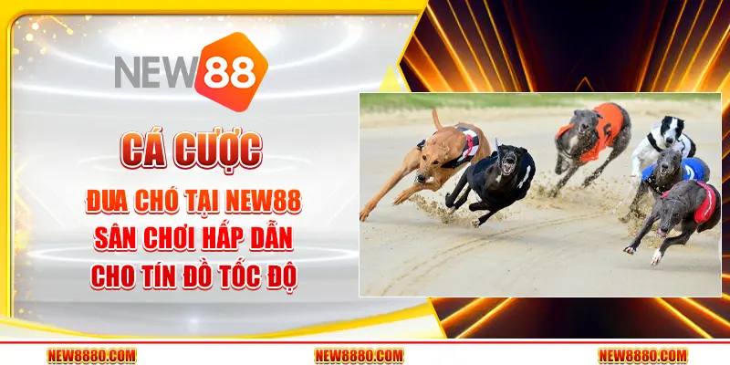 Mẹo Chơi Nổ Hũ: Bí Quyết Kiếm Jackpot Thành Công Trong Game