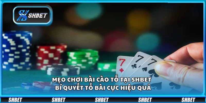 Mẹo chơi bài cào tố tại shbet - Bí quyết tố bài cực hiệu quả