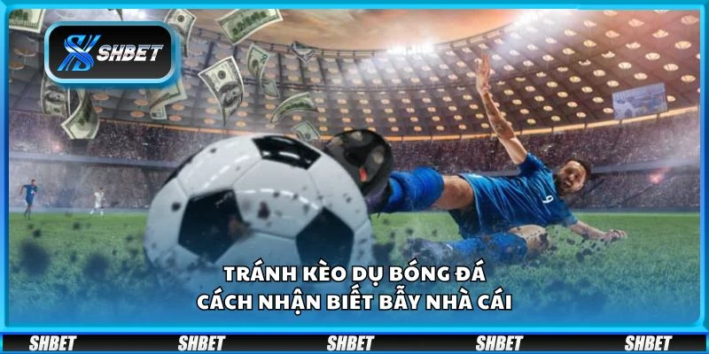 Tránh kèo dụ bóng đá - Cách nhận biết bẫy nhà cái